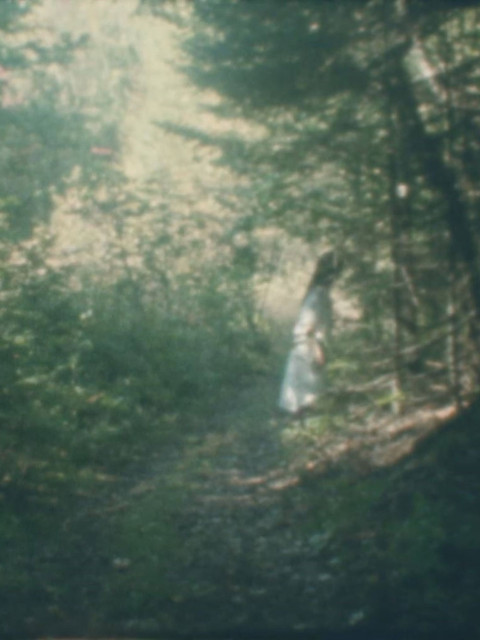 Femme forêt (2026)