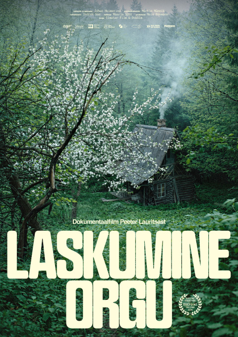 Laskumine orgu (2026)
