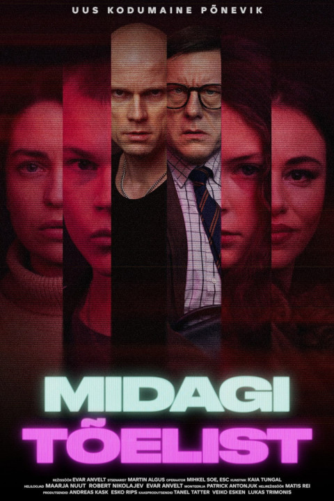 Midagi tõelist (2026)