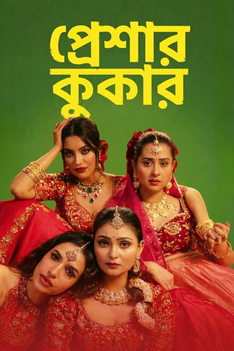 প্রেশার কুকার (2026)