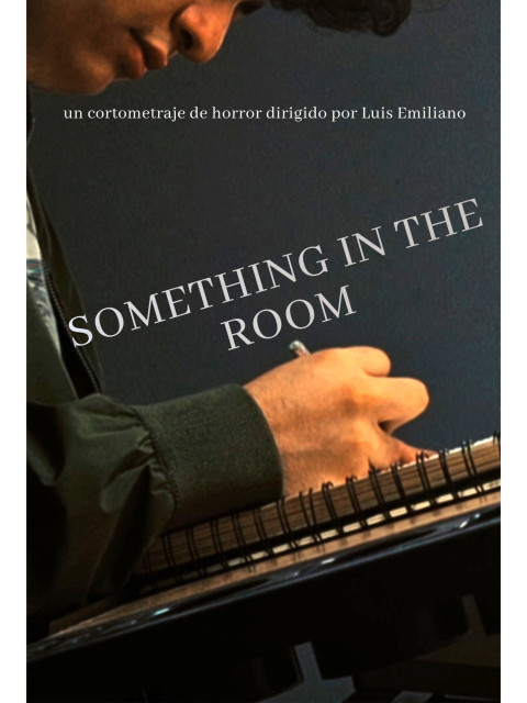 Something In The Room (2026)