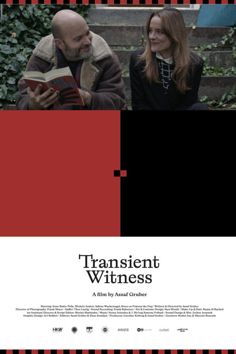Transient Witness (2026)