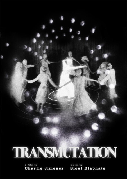 Transmutation (2026)