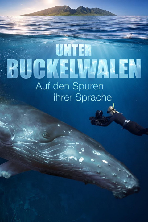 Unter Buckelwalen - Auf den Spuren ihrer Sprache (2026)