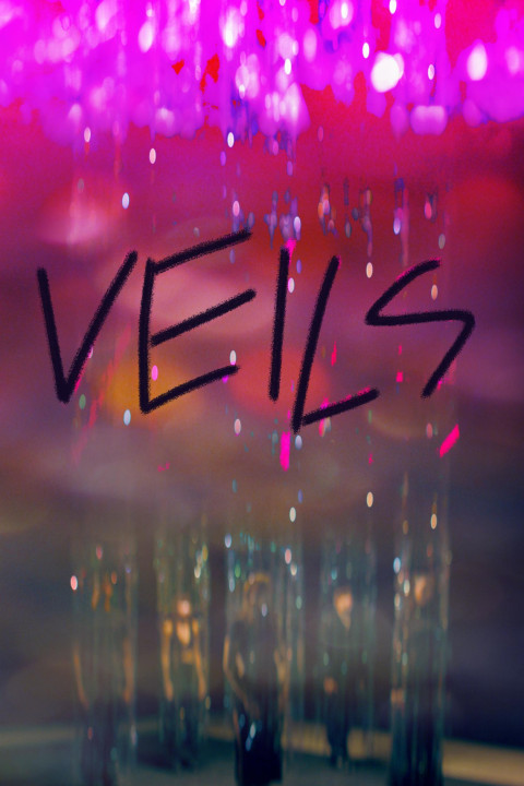 Veils (2026)