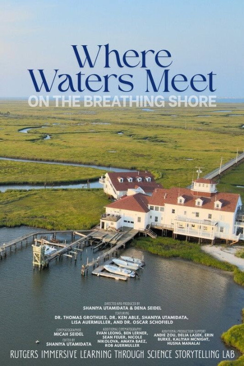 Where the Waters Meet on the Breathing Shore (2026)