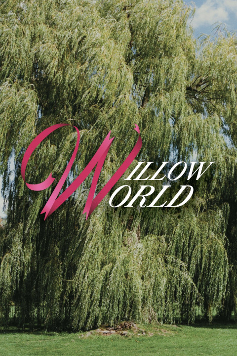 Willow World (2026)