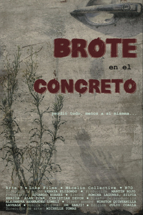 Brote en el concreto (2026)