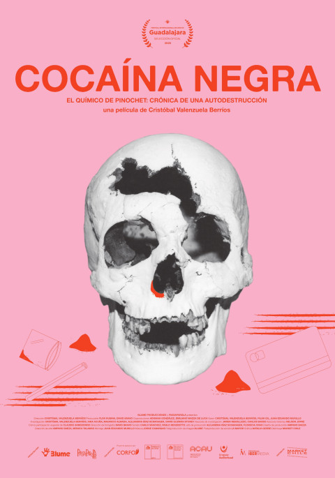 Cocaína negra (2026)