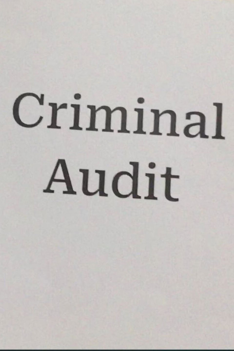 Criminal Audit (2026)