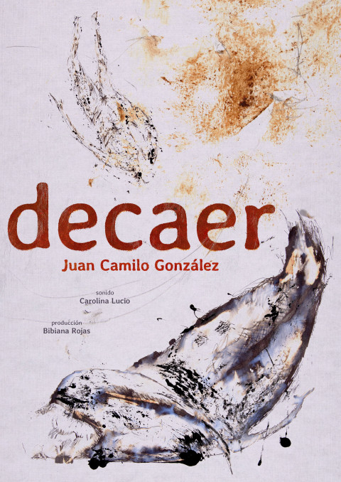 decaer (2026)