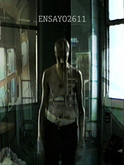 Ensayo2611 (2026)