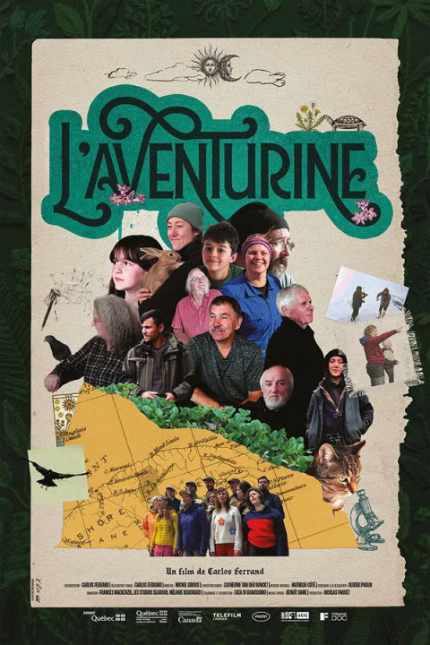 L'aventurine (2026)
