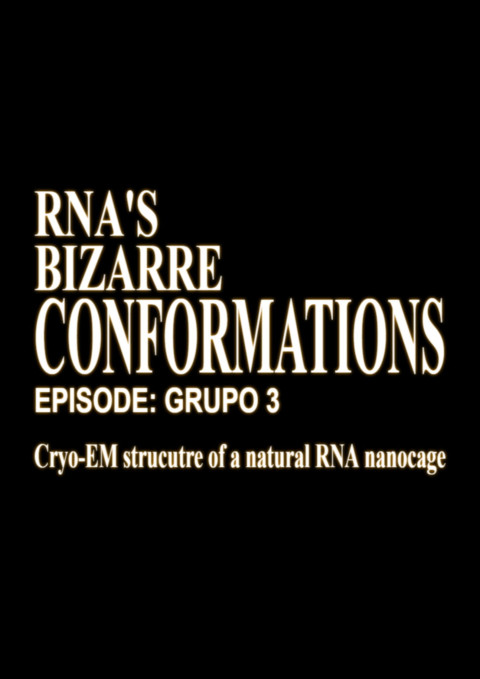 RNA'S Bizarre Conformations (2026)