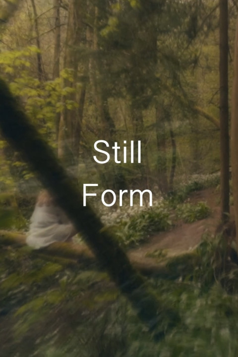 Still Form (2026)