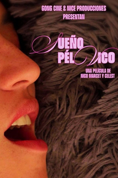 Sueño pélvico (2026)