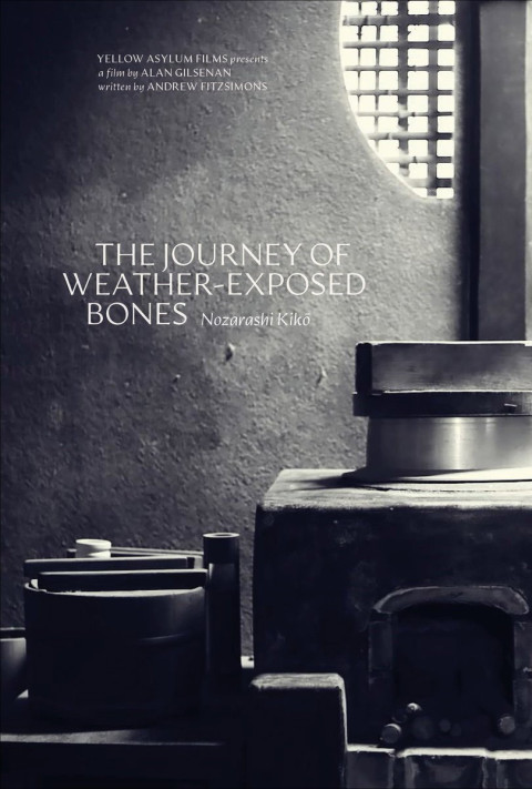 The Journey of Weather-Exposed Bones (2026)