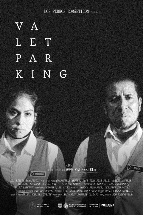 Valet parking (2026)