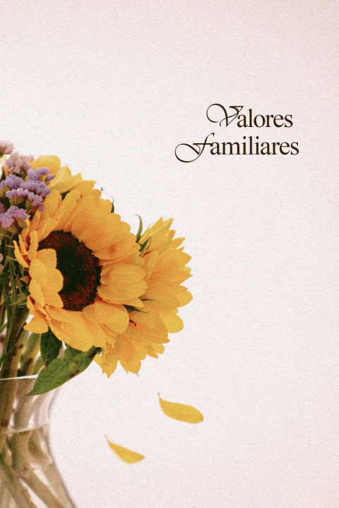 Valores Familiares (2026)