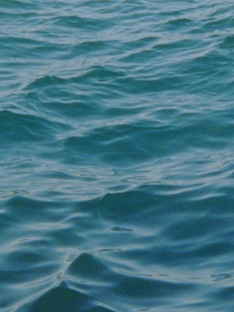 Water Diary (2026)