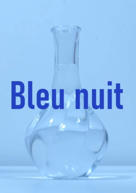 Bleu nuit (2026)