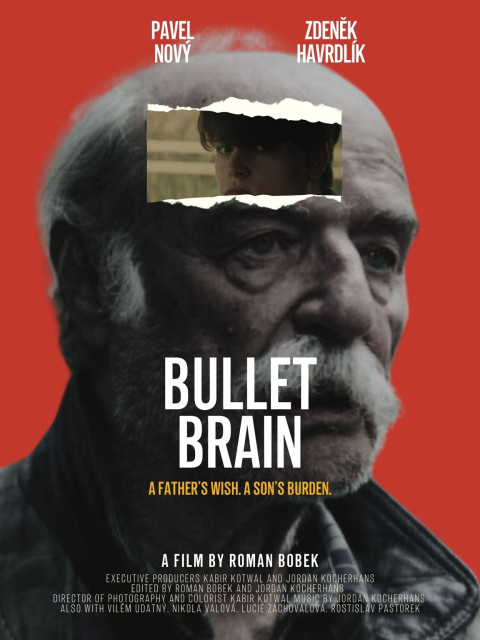 Bullet Brain (2026)