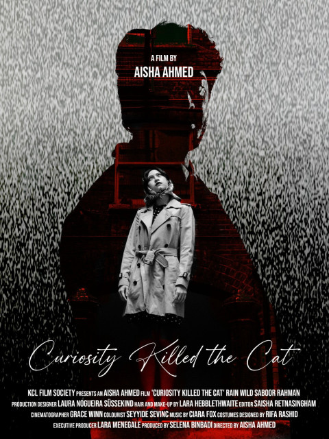 Curiosity Killed the Cat (2026)