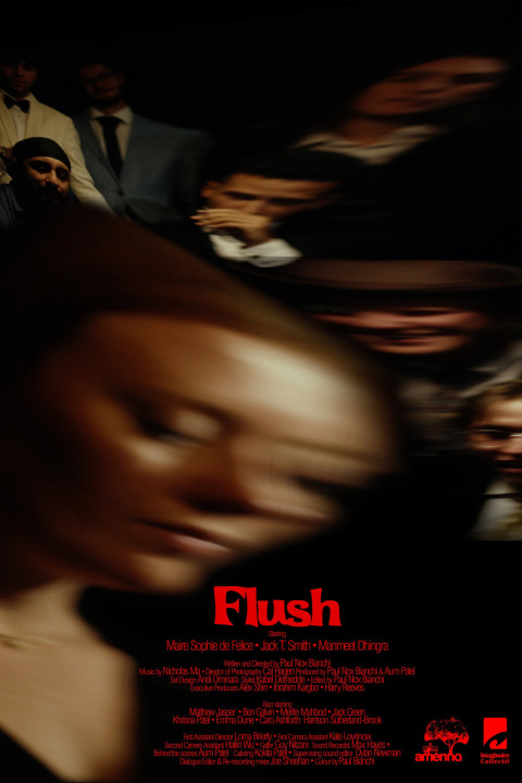 Flush (2026)