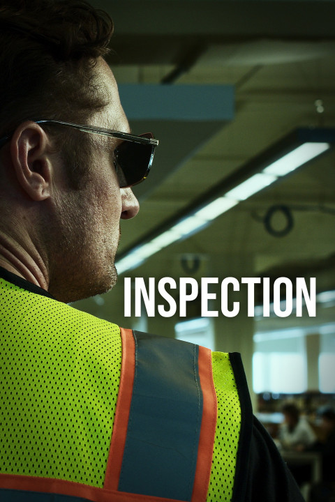 Inspection (2026)