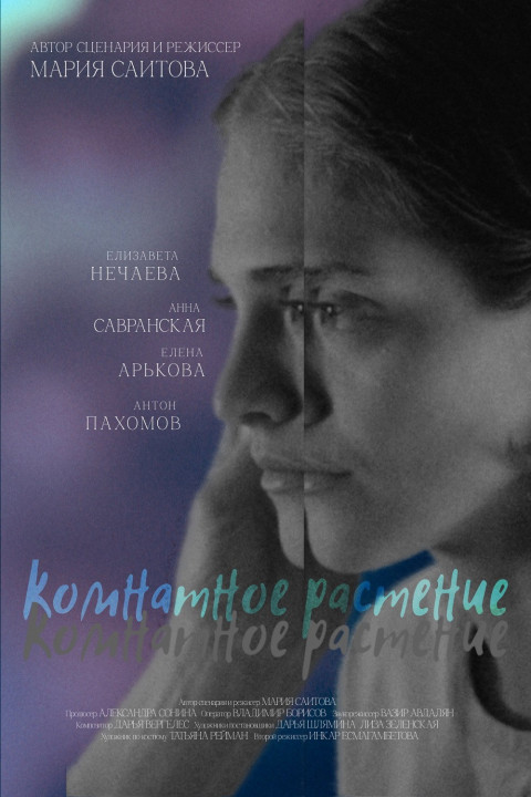 Комнатное растение (2026)