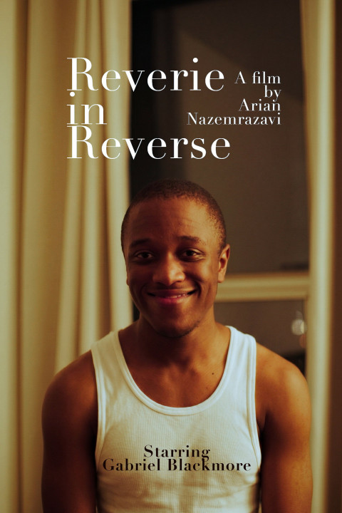 Reverie in Reverse (2026)