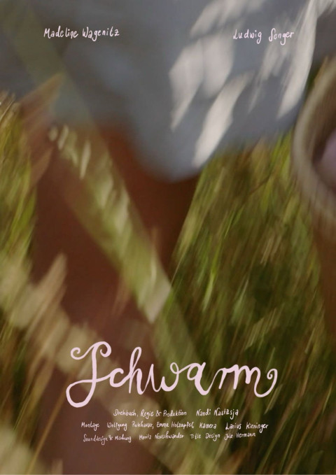 Schwarm (2026)