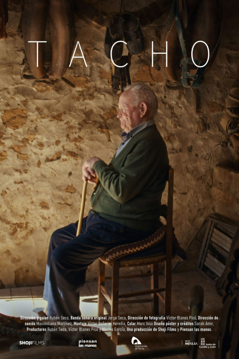 Tacho (2026)
