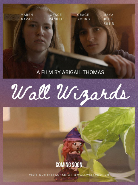 Wall Wizards (2026)
