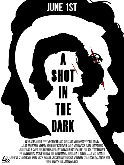 A Shot in the Dark (2026)