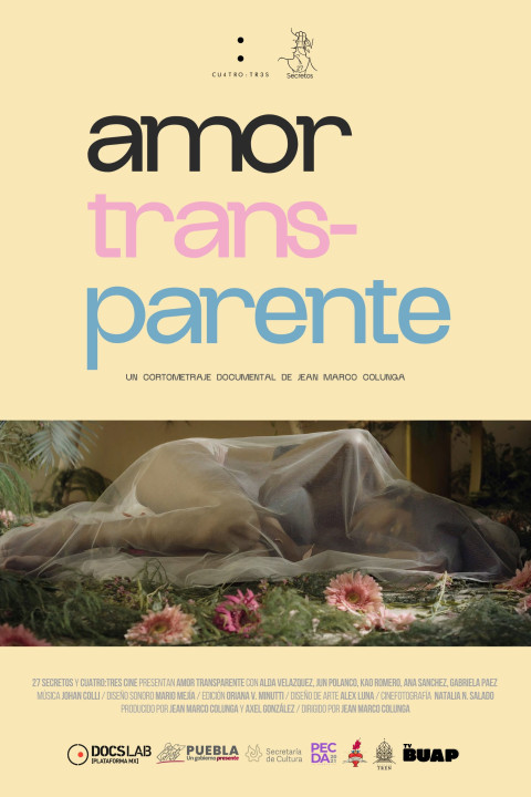 Amor TransParente (2026)