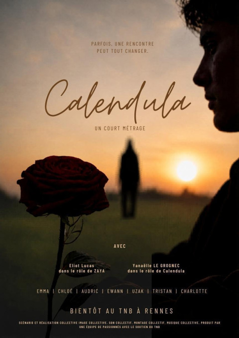 Calendula (2026)