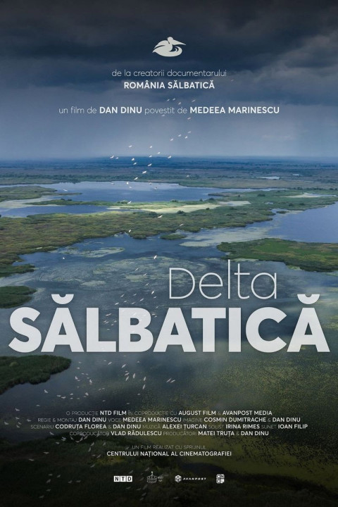 Delta Sălbatică (2026)