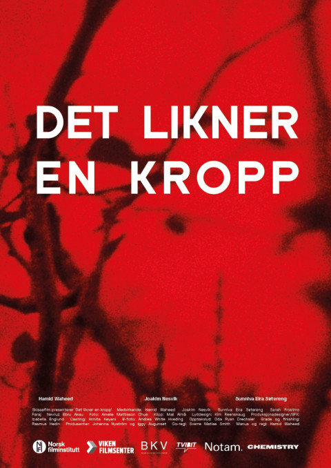 Det likner en kropp (2026)