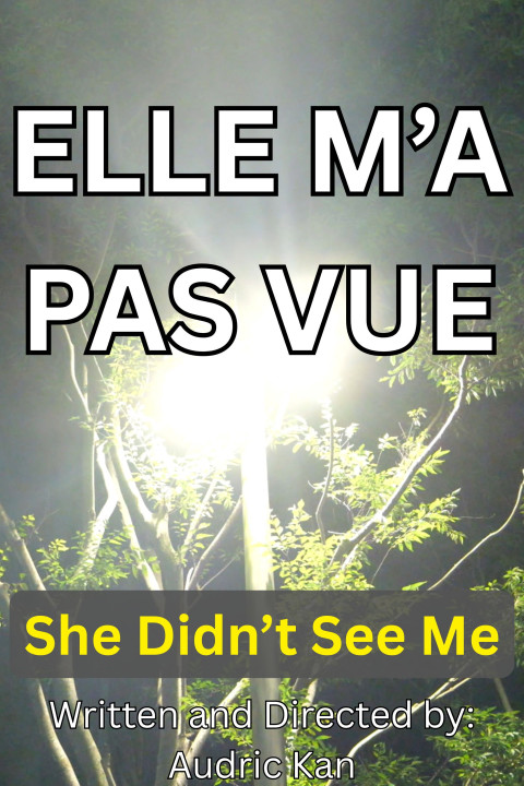 Elle M'a Pas Vue (2026)