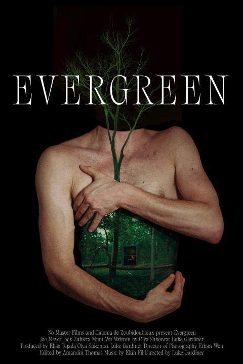 Evergreen (2026)