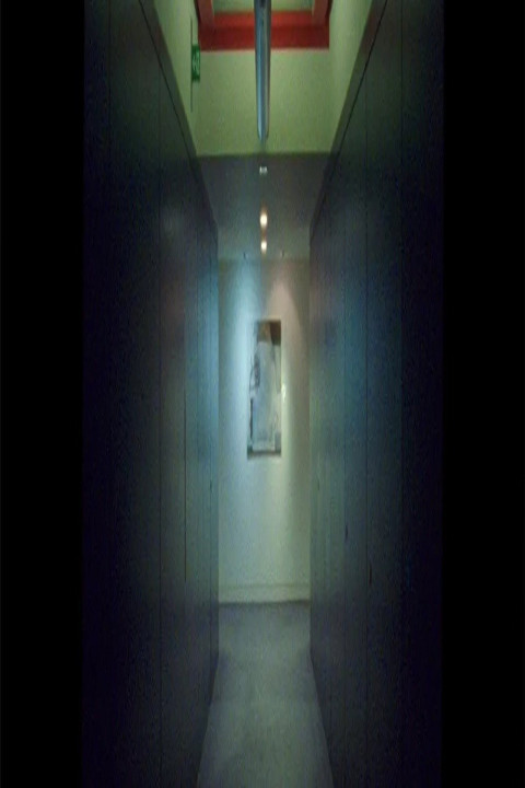 INGRESS LABYRINTH (2026)