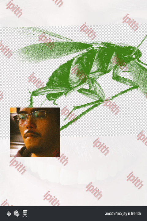 ipith (2026)
