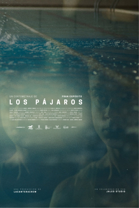 Los pájaros (2026)