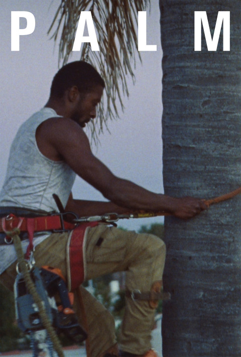Palm (2026)