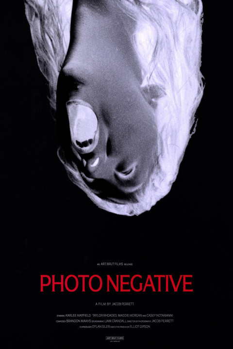 Photo Negative (2026)