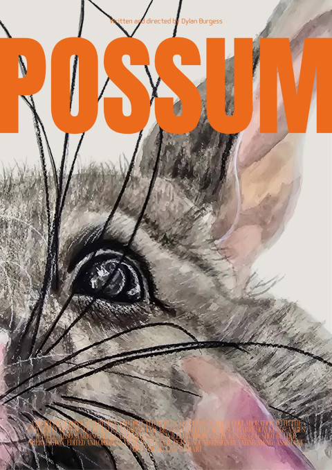 Possum (2026)