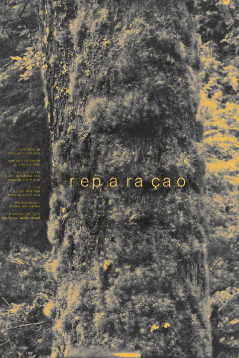 Reparação (2026)