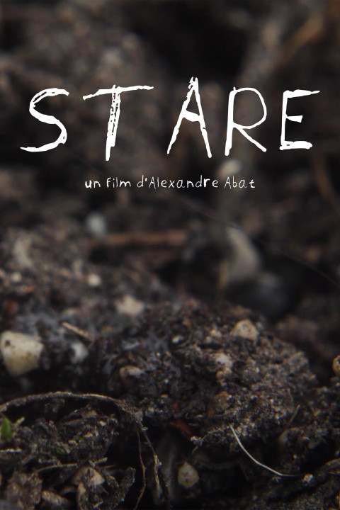 Stare (2026)