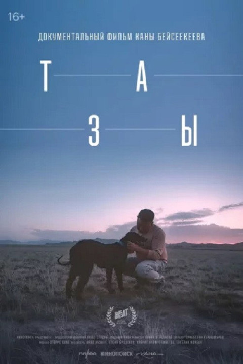 Тазы (2026)